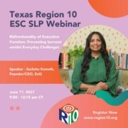 Texas SLP Webinar